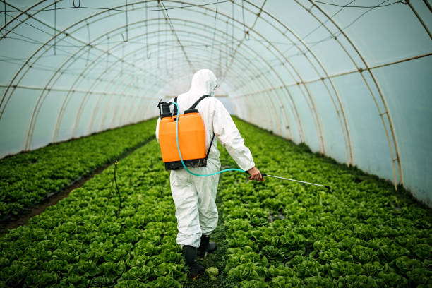 Best Pest Control for Restaurants  in Hampton, IA