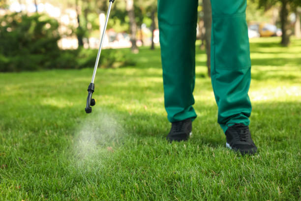 Best Local Pest Control Services  in Hampton, IA
