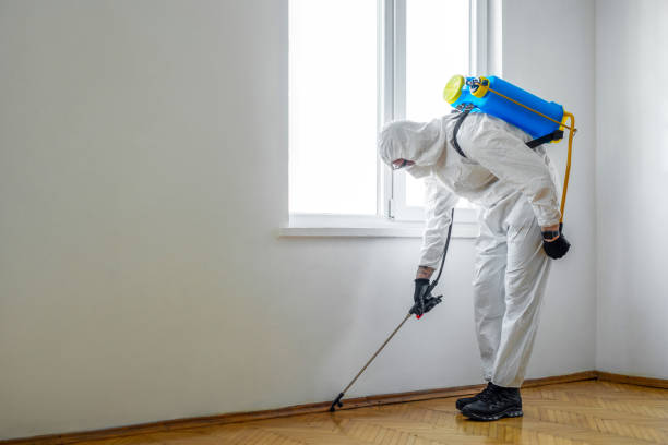 Best Pest Control Near Me  in Hampton, IA