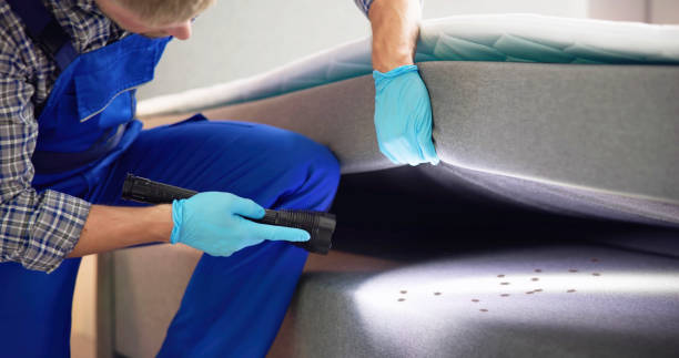 Best Residential Pest Control  in Hampton, IA