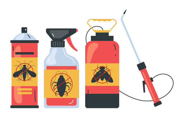Best Wasp Removal Services  in Hampton, IA